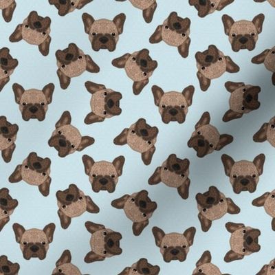 SCATTERED BROWN FRENCHIE BLUE 8