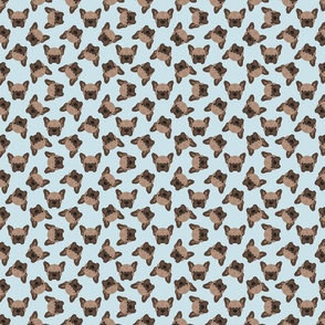 SCATTERED BROWN FRENCHIE BLUE 8