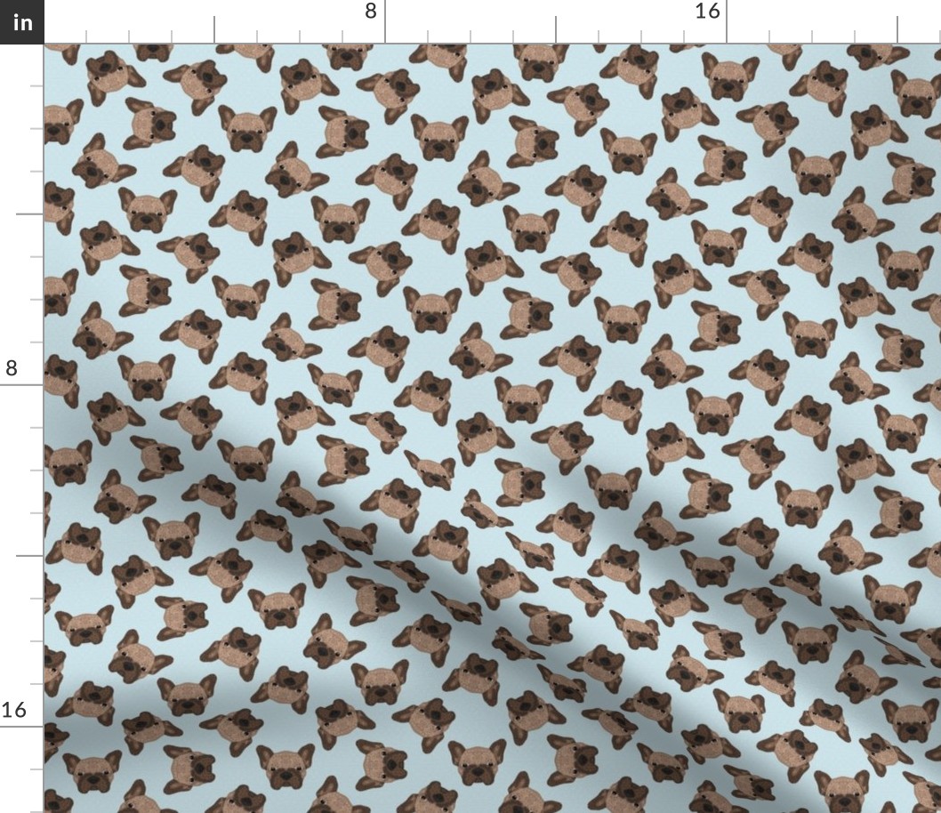 SCATTERED BROWN FRENCHIE BLUE 8