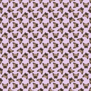 SCATTERED BROWN FRENCHIE PINK 8
