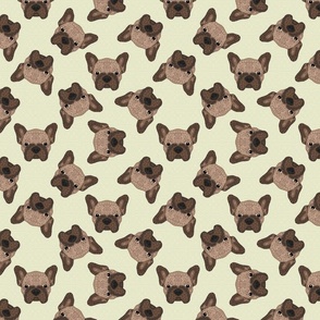 SCATTERED BROWN FRENCHIE YELLOW 16