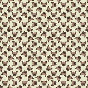 SCATTERED BROWN FRENCHIE YELLOW 8