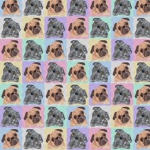 COLORFUL MIXED PUG PATTERN 16