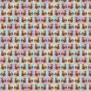 COLORFUL PUG PATTERN 8