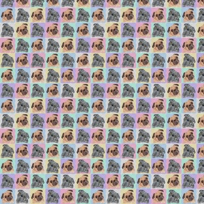 COLORFUL MIXED PUG PATTERN 8