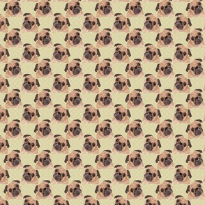 PUGS YELLOW 8