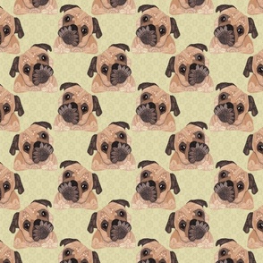 PUGS YELLOW 16