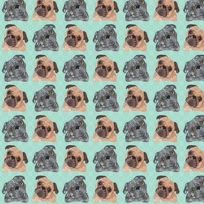 MIXED PUGS GREEN 16