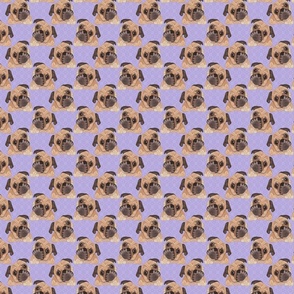 PUGS PURPLE 8