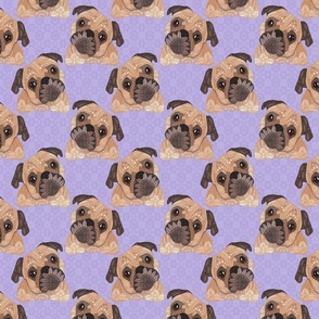 PUGS PURPLE 16