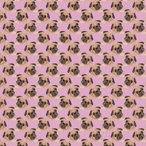 PUGS PINK 8