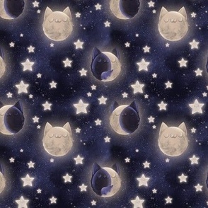 cat in the moon - mini scale