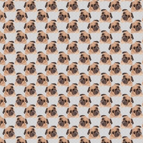 PUGS GREY 8