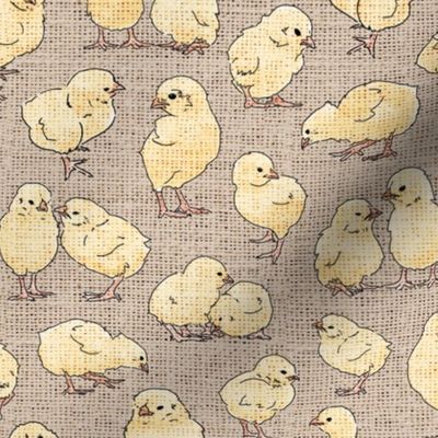 Chickies - yellow on burlap