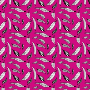 Scattered Black & White Feathers on pink background 