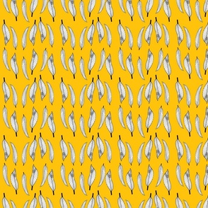 Linear Black & White Feathers on Yellow Background