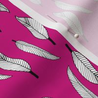 Linear Black & White Feathers on Pink Background 