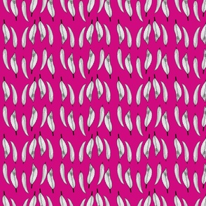 Linear Black & White Feathers on Pink Background 