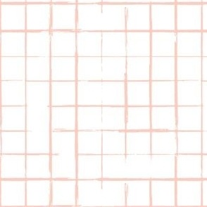 daisies grid - blush