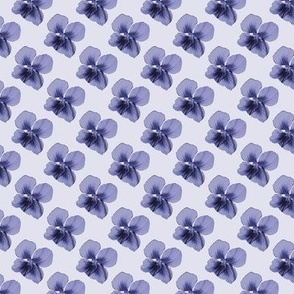 Violets on lavender