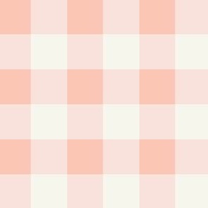 Peachy Pink Easter Gingham