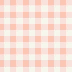 Peachy Pink Easter Gingham mini