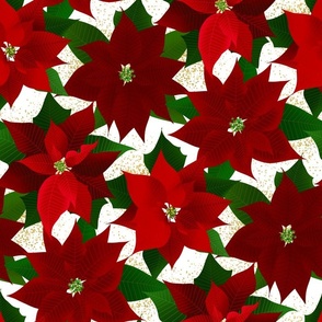 Christmas Poinsettia Flowers – Red White Gold