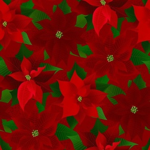 Christmas Poinsettia Flowers - Cardinal Red 