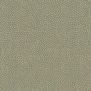 finely dotted warm grey - for medium size