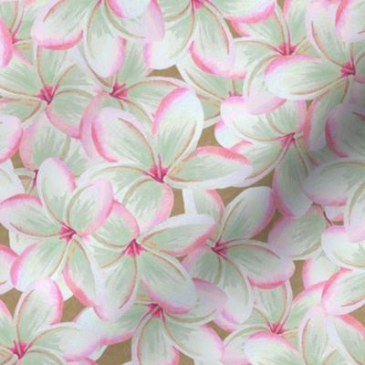 frangipani floral pink gold