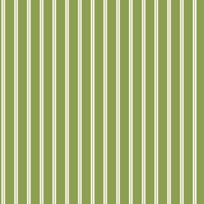 Classic Stripe in Green and Off White 2in