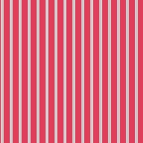 Classic Stripe in Dark Pink and Off White 2in