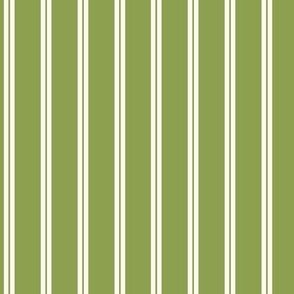 Classic Stripe in Green and Off White 4in