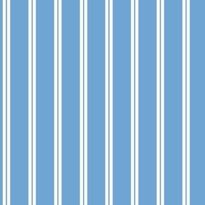 Classic Stripe in Blue and Off White 4in