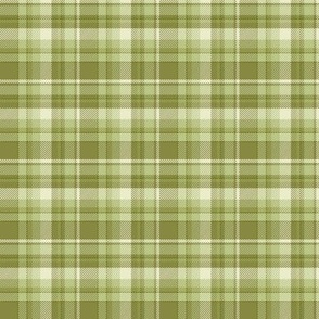 Green Classic Woven Plaid Check 2in