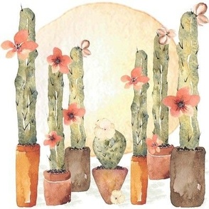 Warmer Weather Cacti