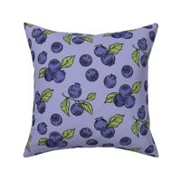 Summer Blueberry Harvest - Indigo Delights on Lavender Field