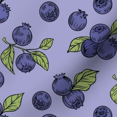 Summer Blueberry Harvest - Indigo Delights on Lavender Field