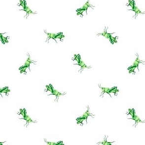 Small Green Grasshoppers on White by Brittanylane
