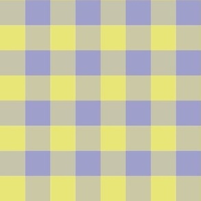 Check periwinkle and butter  yellow