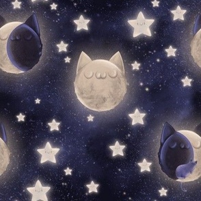 cat in the moon - mid scale
