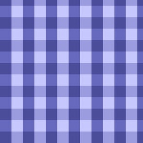 Gingham very peri, small size