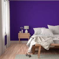 Royal Purple Solid 4d008a Color Map Essentials Royal Purple Solid Color