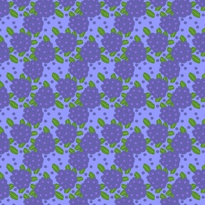 Periwinkle Flower Clusters on violet