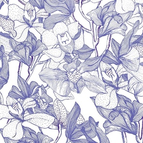 Orchids of ivory white set against an indigo background 