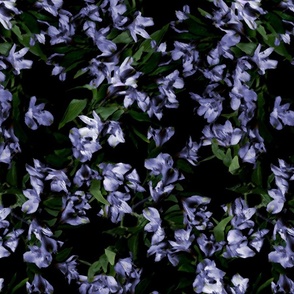 Very Peri Lilac Floral