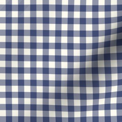 blue check fabric - easter coordinate