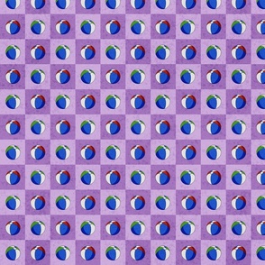 Beach Ball Checkerboard - Purple