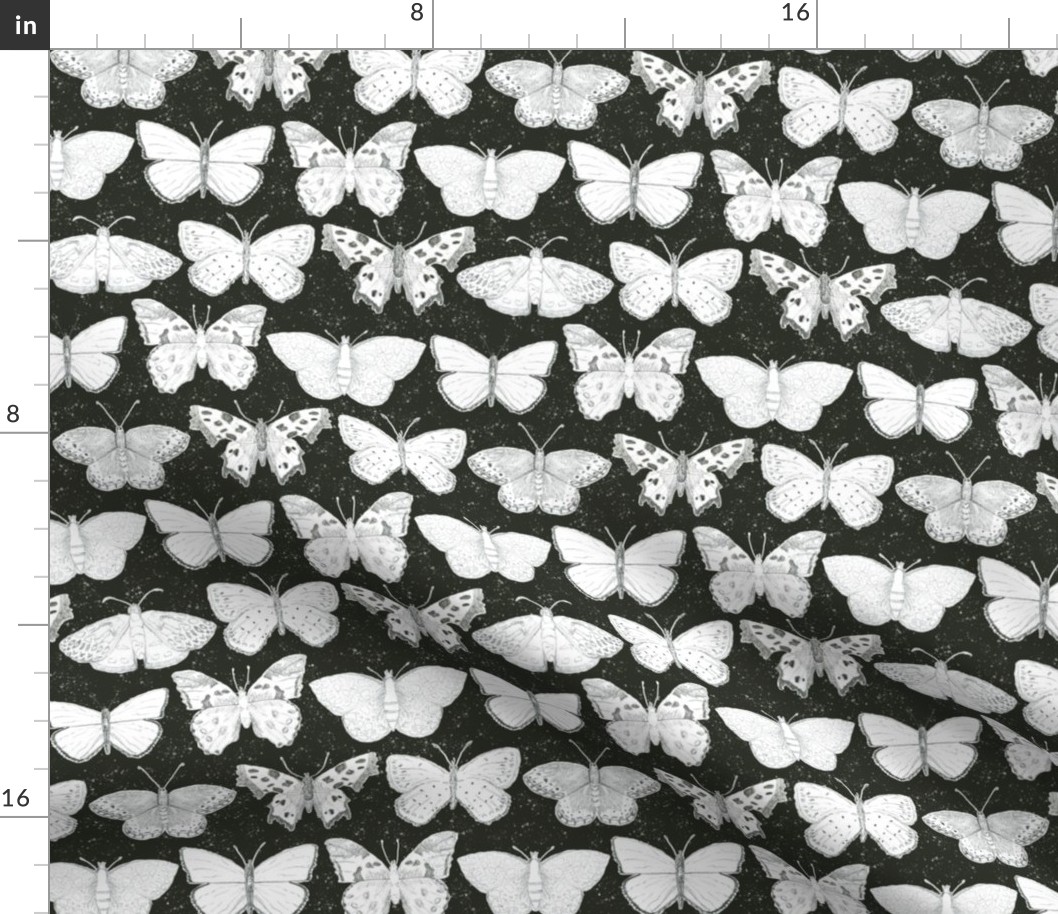 butterflies in midnight LARGE SCALE