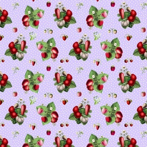 Strawberries and dots on lavender ground